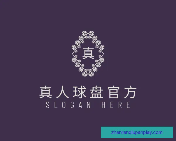 发现真人球盘官方